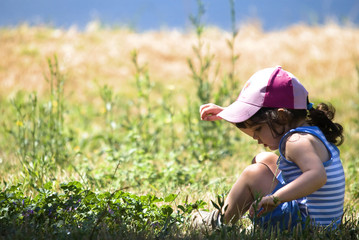 Young child  in a field  on a summer day