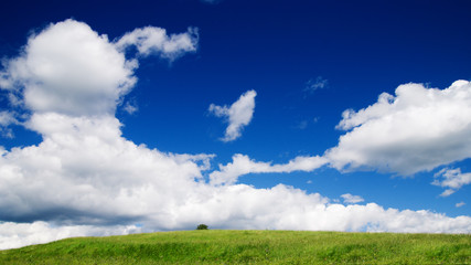 hill whith tree and blue sky