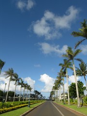 Hawaiian Road 08