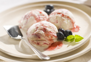 fresh blue berry ice cream on a plate close up