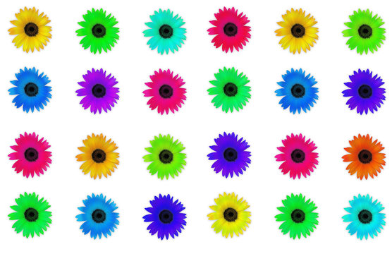 fleures