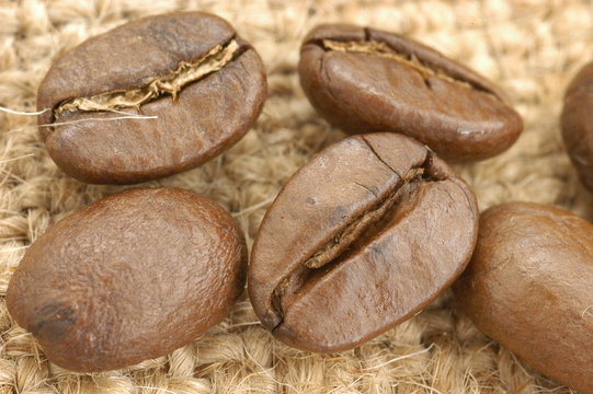 Coffee - II