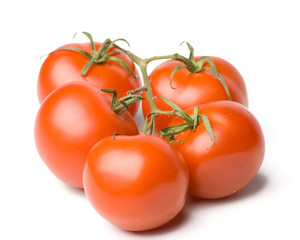 Fresh tomatoes.