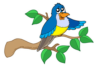 Blue bird sitting on branch