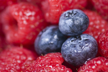 Blueberries Sitting on Raspberries