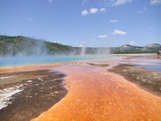 Yellowstone