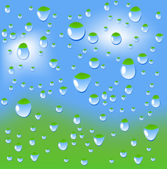 Beautiful wet window. Vector illustration. .