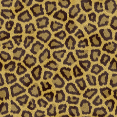 Textura piel de Leopardo