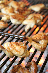 barbecue, chicken wing bbq