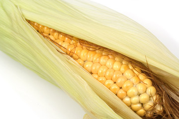 Close-up shot of corn ear on white background
