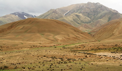 paysage desertique et aride