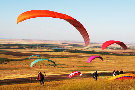 Paragliders
