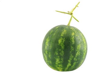 Watermelon isolated on white