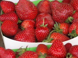 barquette de fraises