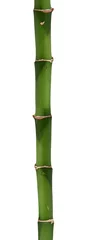 Crédence de cuisine en verre imprimé Bambou long bamboo stick isolated on white background