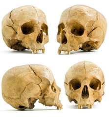 Obraz premium four angels of human skull isolated on white