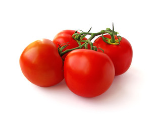 Tomatoes on branch isolated on white background