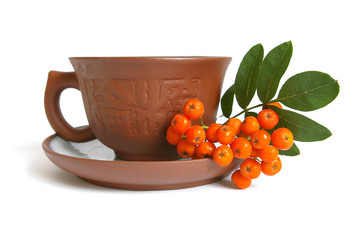 Ceramic cup and mountain ash isolated on a white background