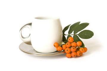 Ceramic cup and mountain ash isolated on a white background