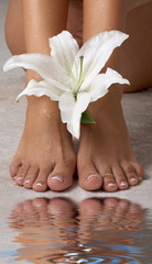 beautiful female feet with madonna lily in spa