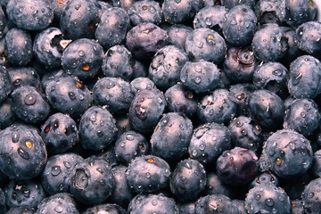 blueberries