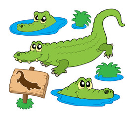 Crocodile collection