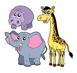 African animals collection