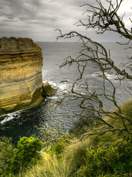 Wild Coastline