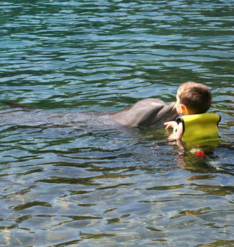 young child kissing a dolphin
