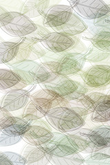 Fototapeta na wymiar pattern with leaves