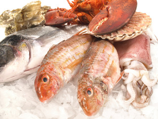 Fangfrischer Fisch