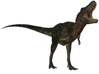 Rucksack Tarbosaurus Bataar-3D Dinosaurier © Andreas Meyer