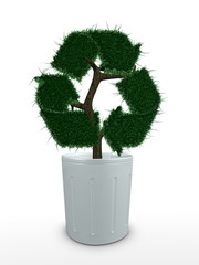 Bonsai tree, Recycle