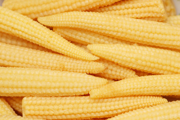 Baby corn cobs arranged as a background
