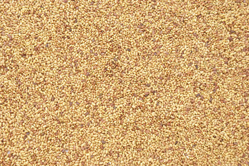 lucerna seeds background