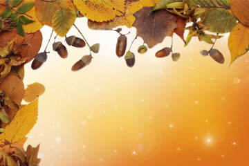 autumn frame - seasonal background