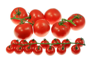 Tomatoes on a white background.