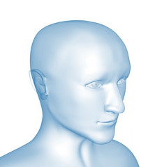 Transparent 3d head of the man - x-ray. Object over white