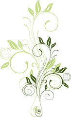 floral design element