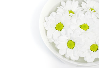 Fototapeta na wymiar beautiful white daisies floating in a bowl of water