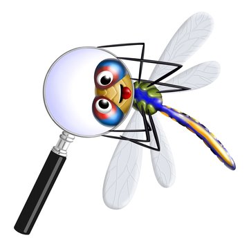 libellula sulla lente