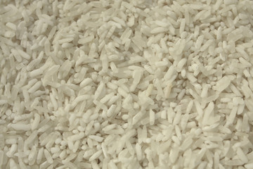 Close up of the rice texture. Background.