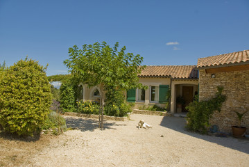 Fototapeta premium mas provencal