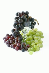 white and red grapes