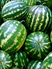 watermelons