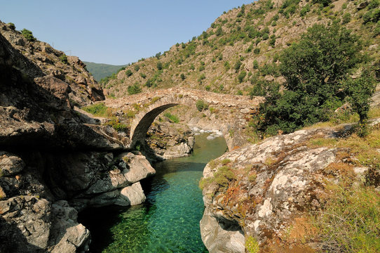 pont g&eacute;nois de l'asco