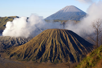 Fototapeta na wymiar Vulcanos w Kaldera i drzewa, Jawa, Indonezja