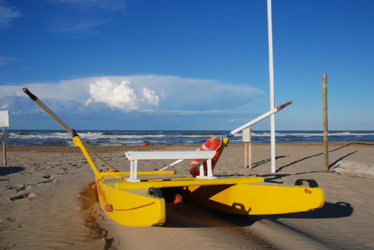 Riccione moscone giallo 2