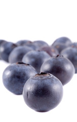 sweet bilberries on white background