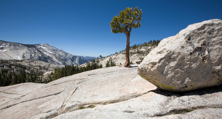 Olmsted Point im Yosemite National Park